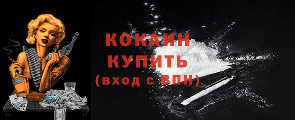 гашик Корсаков