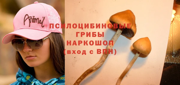 дурь Армянск