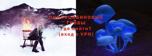 соль ск Арсеньев