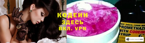 соль ск Арсеньев