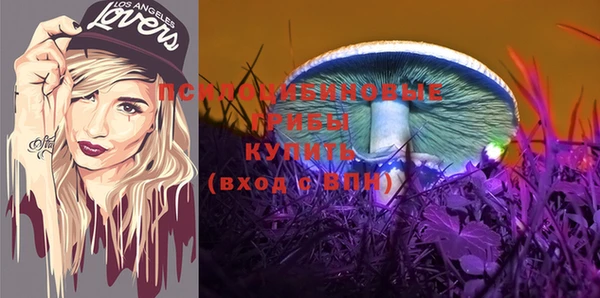 соль ск Арсеньев