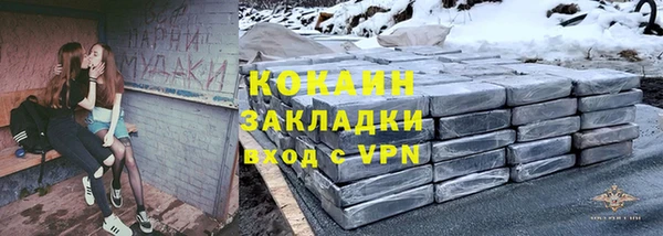 соль ск Арсеньев