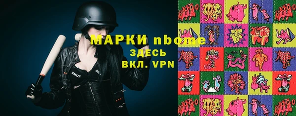 соль ск Арсеньев