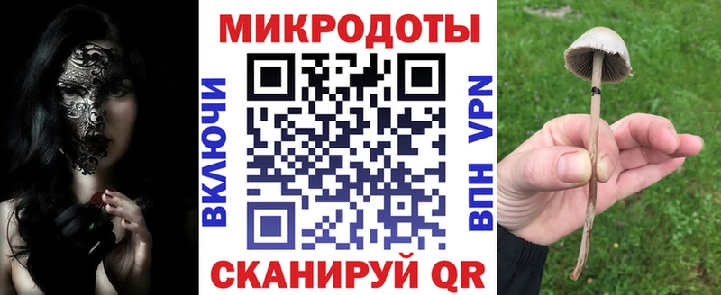 Псилоцибиновые грибы Psilocybe где можно купить Бакал